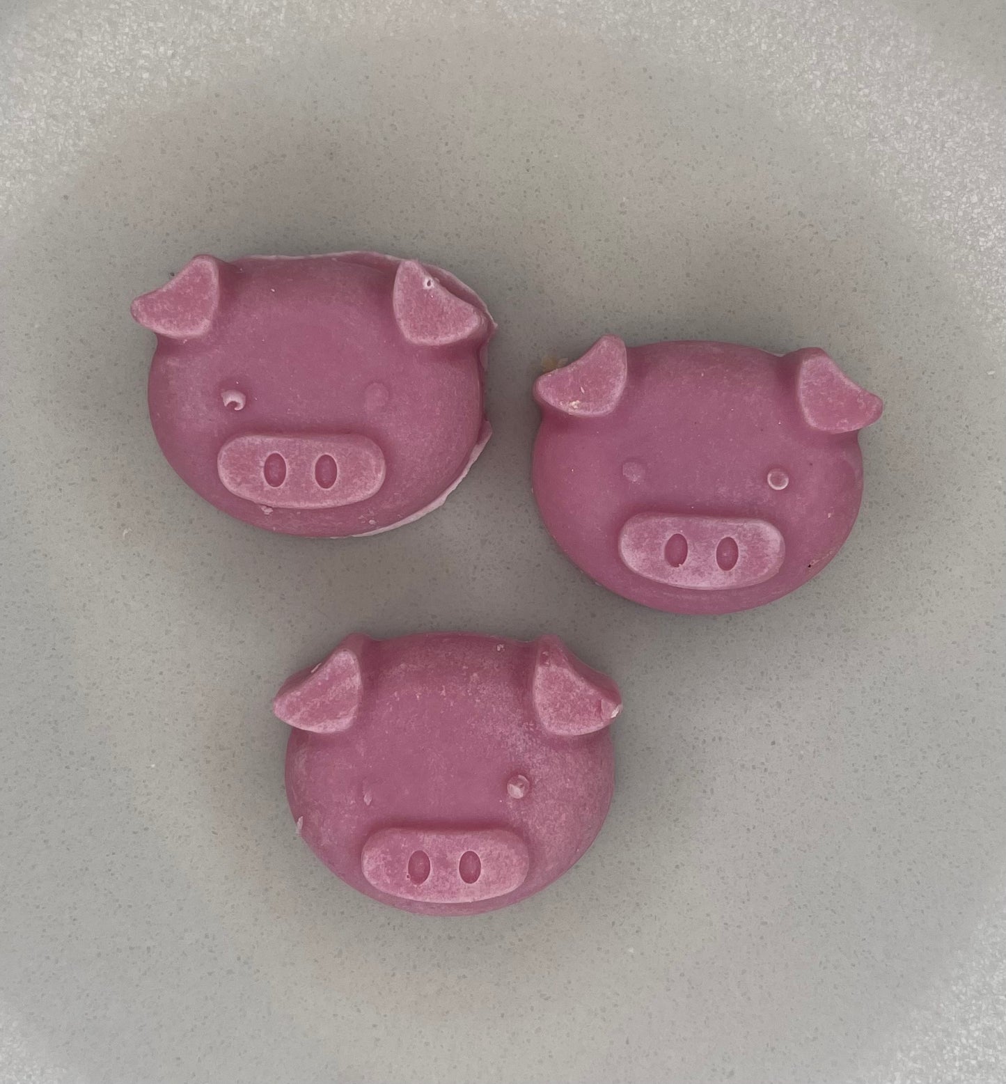 Little Pigs Soap